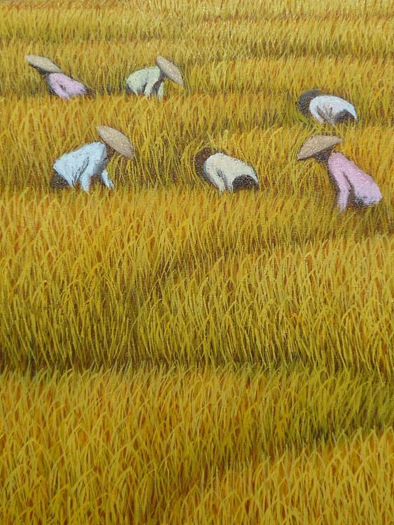 12-30 11:19:27金色的稻田色彩(水彩～水粉～油画)废废喵同采自www