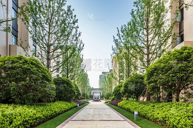 现代高层住宅小区园林中的园林景观与绿化草坪素材-花瓣网