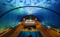 bedroom beds fish pillows underwater wallpaper (#1276584) / Wallbase.cc