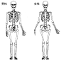 绘画学习 

人体比例姿势绘画素材      Pid=53079108           插画艺术作品 ​​​​