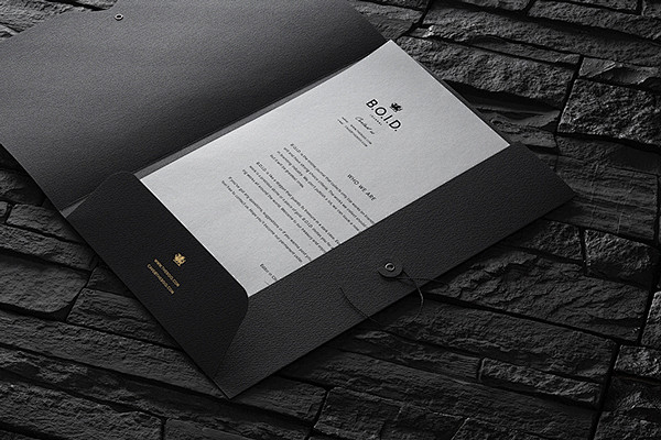 B.O.I.D. journal : T...