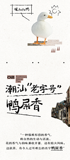 mango___采集到长图文