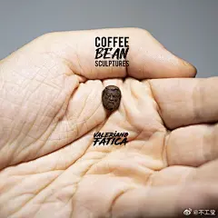 Valeriano Fatica是位来自意大利的小有名气的雕刻家，他从小就喜欢画画，梦想成为一名画家。但当其进入艺术高中后，才意识到自己对雕塑真正的热情。2011年，在餐厅工作中他开始做水果雕刻，渐渐地很多人知道了他。而最近他的兴趣转向了咖啡豆，用一颗颗小豆子雕刻自己喜欢的动漫人物形象。不得不说，作 ​​​​...展开全文c