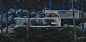 The house in the pinewood