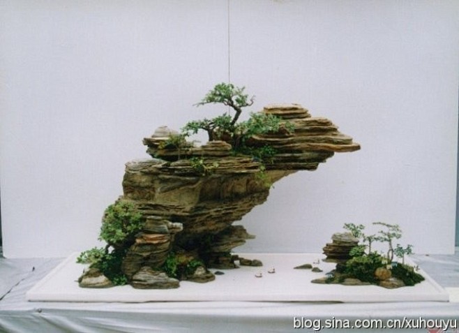 40山水盆景尽收眼底