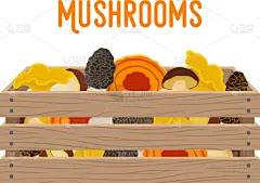 篮子,商品,食用菌,剧场售票处,蔬菜,食品,木材,食品杂货,板条箱,植物