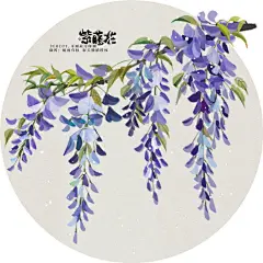 N紫藤花 ​​​​
