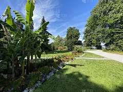 康斯坦茨湖上的花岛景观或博登西的布鲁门尼斯景观-德国康斯坦茨或德国康斯坦茨