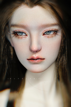 无角羔羊采集到BJD