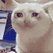 伤心失望 表情包 - GIF动图 免费下载 - 爱给网