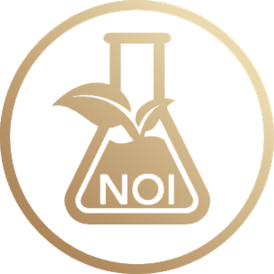 NOI2.svg