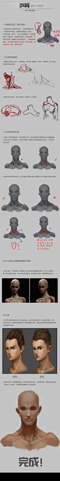 战翼CG文化每周一课绘画教程：脖子的画法 how to draw neck? Concept art/ Illusion/ painting design…: 