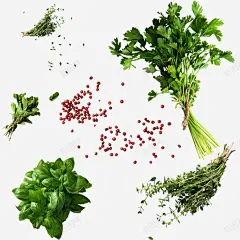 蔬菜香菜薄荷红豆高清素材 红豆 蔬菜 薄荷 香菜 元素 免抠png 设计图片 免费下载 页面网页 平面电商 创意素材