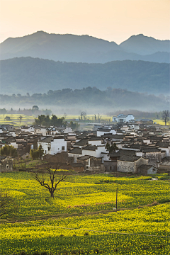 落日风车采集到收藏