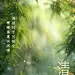 清明节祝福问候教育培训行业全屏竖版海报AIGC