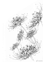 彼岸花、曼珠沙华素材 画古风怎么能少了它？~#古风绘画#  #绘画素材#  #东京食种# ​​​​ 