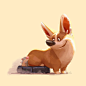 Corgis are too long for riding on roomba, Lynn Chen : ...
