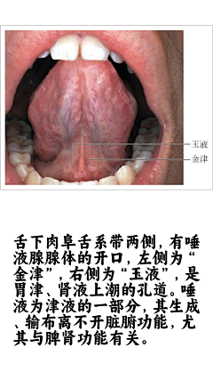 阿宅学医记采集到舌诊图