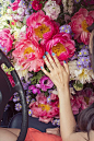 flower bomb by jesse chamberlin
