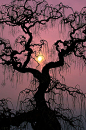 意大利马焦雷湖，树中日落。