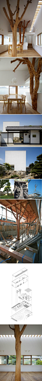 日本一个家庭委托建筑师Hironaka Ogawa设计他们的新家，因为原先在院子里有两颗陪伴他们35年的树，因为妨碍了房屋的整体结构而不得不移除，建筑师为了保留场所记忆做出大胆尝试，将树干风干后重新用在新居的空间里，让树和记忆以另一种方式重生。