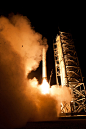 美国NASA火箭发射气流将青蛙吹上天