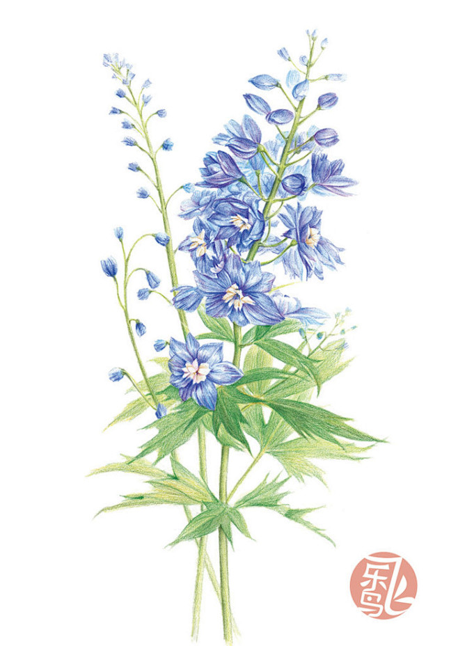 一本值得典藏的好书来啦！经典“花之绘”系...