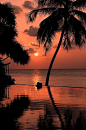 日落 - 美露丽芙岛，马尔代夫