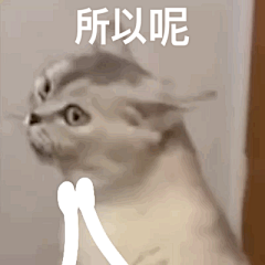 y了个Y~采集到头像