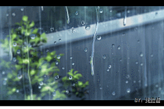 2D动画美滋滋采集到雨雪天气