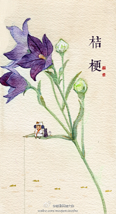 陌上缓缓行采集到花开