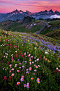 Sunset on the Tatoosh Range in Mount Rainier National Park, Washington