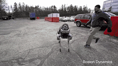 言浅233采集到Hominine robot(超级机器人)