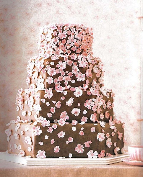 婚礼蛋糕，樱花落满地的样子