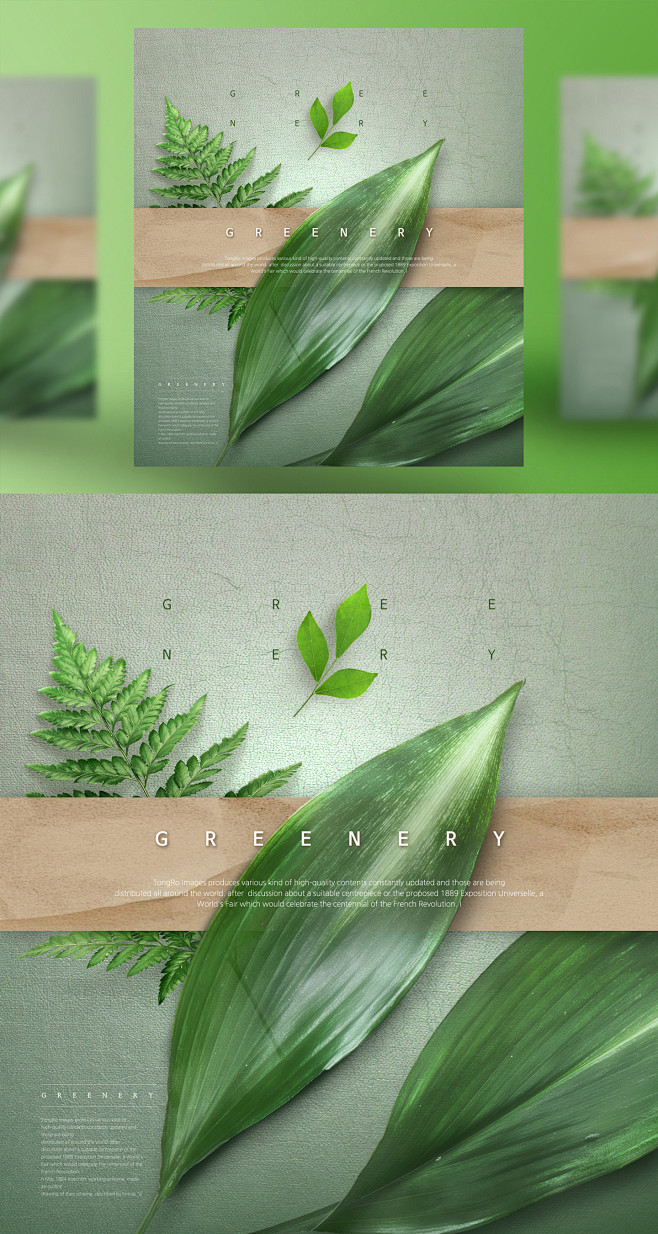 蕨类 浅绿背景 绿色植物主题海报PSD_...