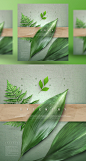蕨类 浅绿背景 绿色植物主题海报PSD_平面设计_海报