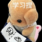 森贝儿表情包