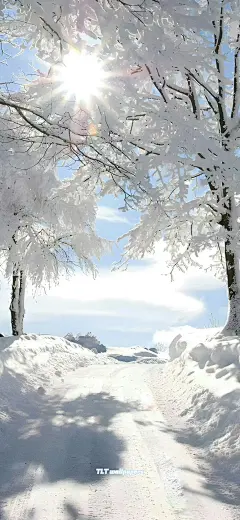  适合下雪天用的壁纸❄️ - 小红书