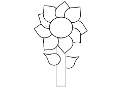 花 向日葵 美丽的花朵 花瓣 花壁纸 干 线条艺术 花卉背景