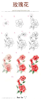 #绘画学习#  玫瑰，牡丹，以及各种好看的花卉绘制参考，喜欢花花的同学收着练习~  #插画艺术作品#  #设计小课堂# ​​​​