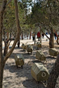 Madrid Rio wins American Architecture Prize in the Public Landscape Architecture category