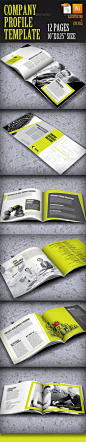 Company Profile Brochure: 