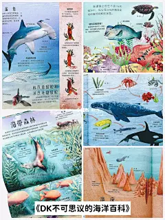 画风竟然这么美六套大自然科普绘本分享