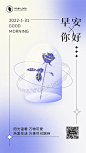 早安问候创意镭射紫玫瑰潮流风日签