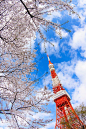 Tokyo Tower, Japan - Photographers 10viral：Chikako Yagi