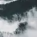 早安，雾气。 ​​​​