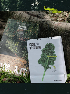 FateDestinyK采集到品牌