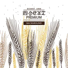 水稻麦田风景插画