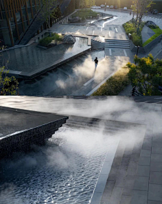 采集1你我我他采集到landscape|水景新希望·锦悦城  中庭水景以植物