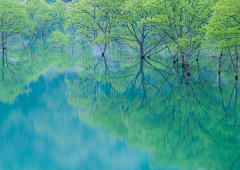 plum111采集到风景